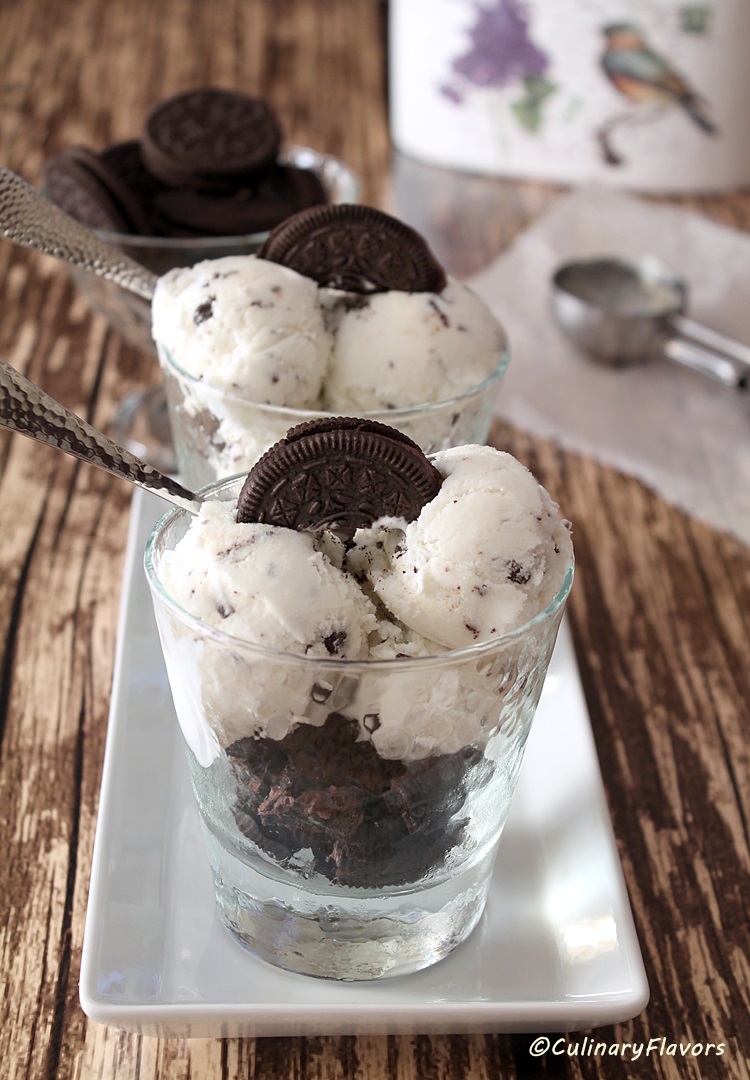 Coconut Ice Cream with Chocolate Chunks